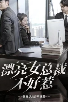 漂亮女总裁不好惹