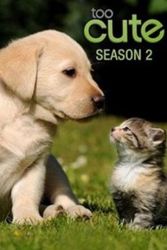 萌宠成长记第二季