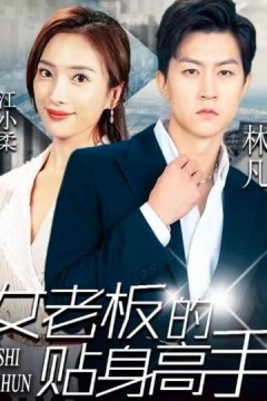 女老板的贴身高手