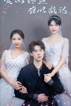 爱的终点难以抵达