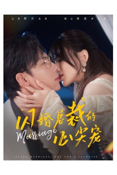 闪婚总裁的心尖宠