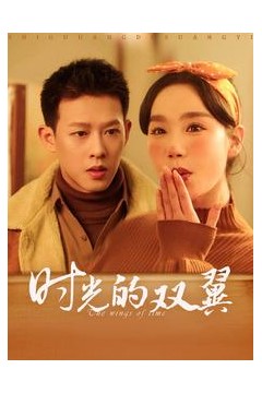 时光的双翼