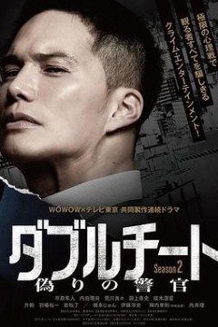 双面骗子虚假警察第二季