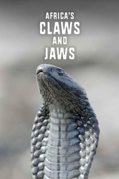 非洲动物的致命武器第一季