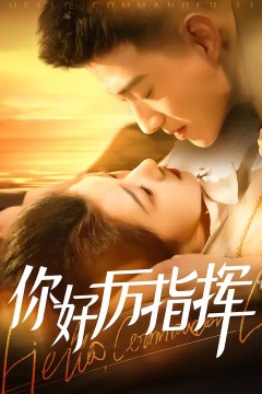 你好厉指挥