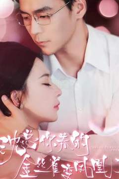 沈总你养的金丝雀变凤凰了