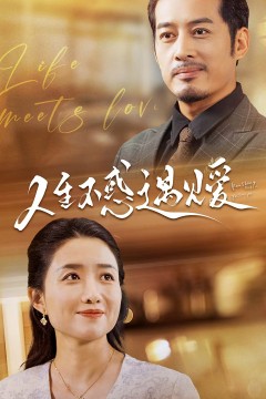 人生不惑遇见爱