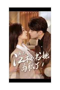 历总，江秘书她离职了