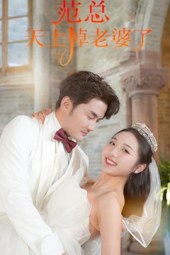 范总，天上掉老婆了