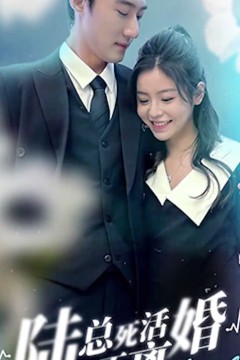 陆总死活不离婚