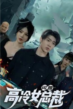 闪婚高冷女总裁