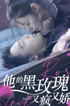 他的黑玫瑰又疯又娇