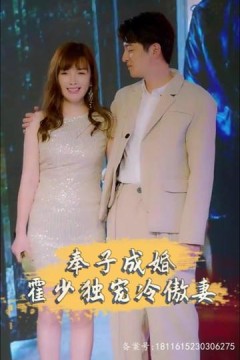 奉子成婚，霍少独宠冷傲妻