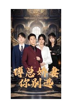 傅总娇妻你别逃