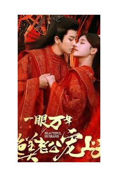 一眼万年绝美老公宠上天