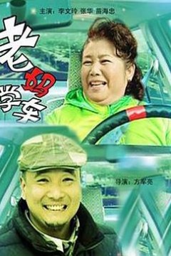 老妈学车