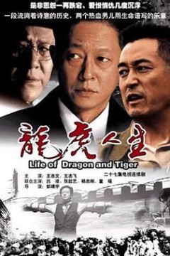 龙虎人生