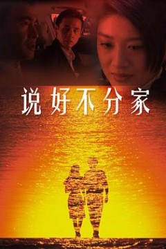说好不分家