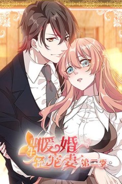 重生暖婚轻宠妻第二季