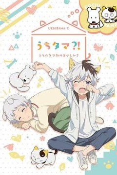 家有圆圆？！我家的圆圆你知道吗？