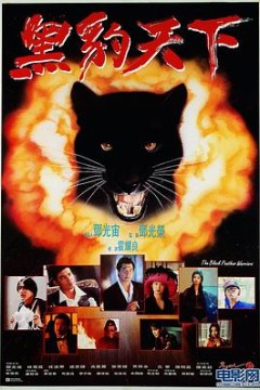 黑豹天下