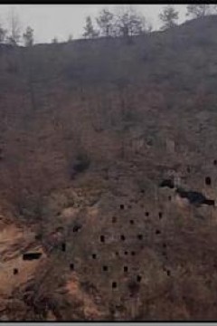 狩猎场·寄死窑