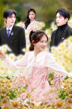 海风替我说再见