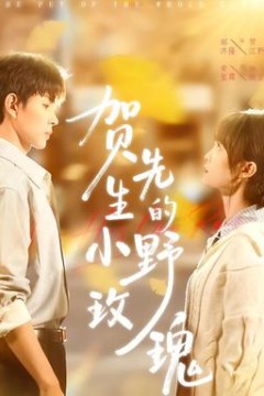 贺先生的小野玫瑰