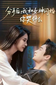 分手后，我和女神闪婚你哭什么(悲欢离合总无情)