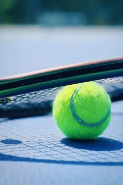 WTA阿布扎比站第三日：陶森VS沃尔特特