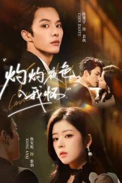 灼灼夜色入我怀