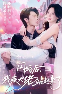 闪婚后，残疾大佬站起来了