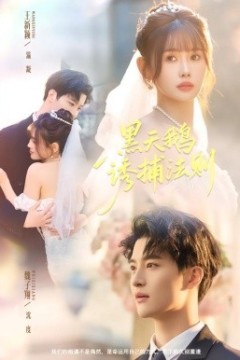 黑天鹅诱捕法册