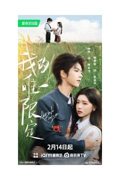 我的唯一限定