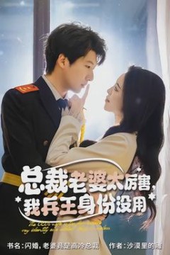 总裁老婆太厉害，我兵王身份没用