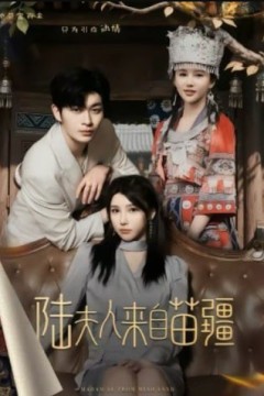 陆夫人来自苗疆