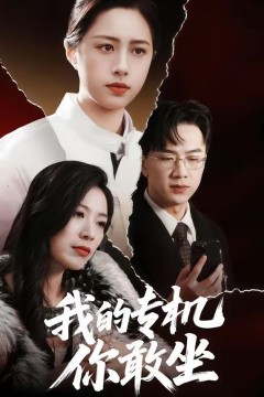 我的专机你敢坐