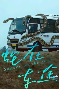 蛇在车途
