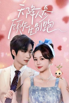 天降人参顾先生别跑