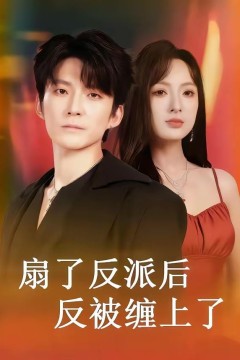 扇了反派后反被缠上了
