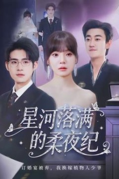 星河落满的柔夜纪