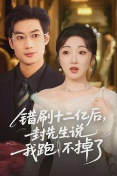 错刷十二亿后，封先生说我跑不掉了