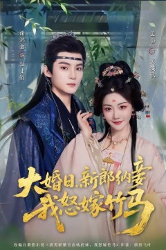 大婚日，新郎纳妾我怒嫁竹马