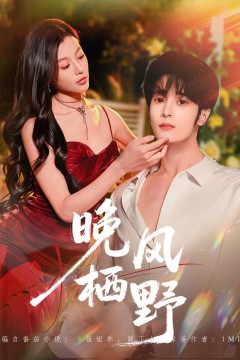 晚风栖野