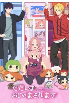 我回来了，他又来打扰了！