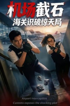 机场截石，海关识破惊天局