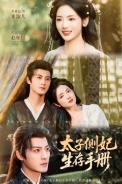 太子侧妃生存手册