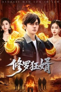 修罗狂婿