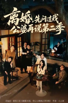 离婚，先问过我公婆再说第二季