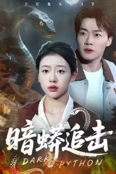 暗蟒追击